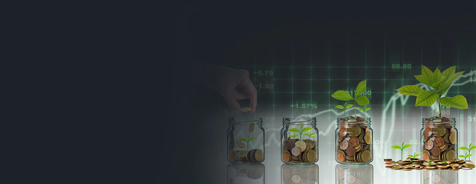 financial-service financial-service